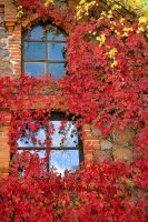 &quot;Rudens apsuptyje&quot; Vida Jankaitienė